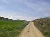 P4180206.JPG