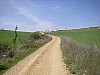 P4180207.JPG