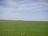 P4180208.JPG