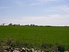 P4180210.JPG