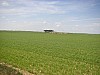 P4180214.JPG
