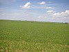 P4180215.JPG