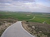 P4190255.JPG