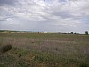P4190261.JPG