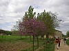 P4190262.JPG