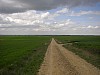 P4190272.JPG