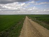 P4190273.JPG