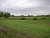 P4200319.JPG