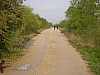 P4210353.JPG
