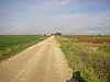 P4210356.JPG