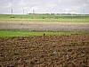 P4210358.JPG
