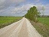 P4210359.JPG