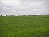 P4210363.JPG