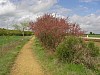 P4210365.JPG