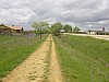 P4210366.JPG