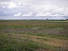 P4220372.JPG