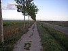 P4230374.JPG