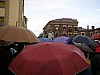 P4230391.JPG
