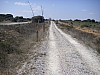 P3300905.JPG