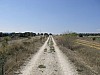 P3300906.JPG