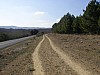 P3300919.JPG