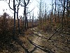P3300920.JPG