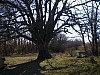 P3300921.JPG