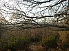 P3310926.JPG