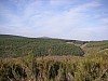 P3310933.JPG