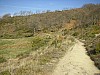 P3310942.JPG