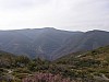 P3310947.JPG