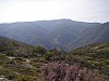 P3310948.JPG