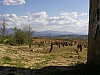 P4010985.JPG