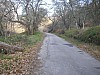 P4020994.JPG