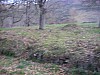 P4020995.JPG