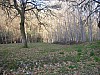 P4020997.JPG