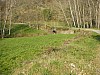 P4021000.JPG