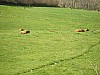 P4021003.JPG
