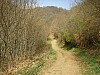 P4021007.JPG