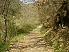 P4021008.JPG