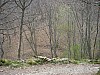 P4021009.JPG