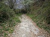 P4021010.JPG
