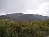 P4021016.JPG
