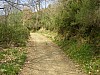 P4021019.JPG
