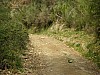 P4021021.JPG