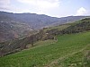 P4021025.JPG