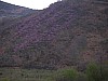 P4021035.JPG