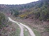 P4021036.JPG