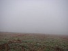 P4031045.JPG