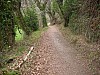 P4031058.JPG